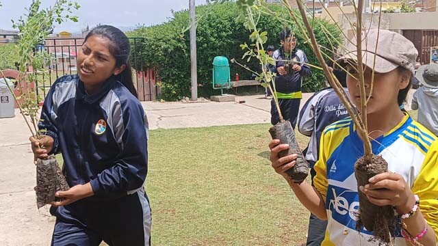 peru arborizacion 1.jpg